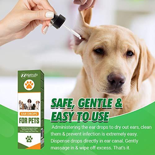 DOG CAT Ear Drops Infection Antibiotic Treatment Medicine Yeast Fungus