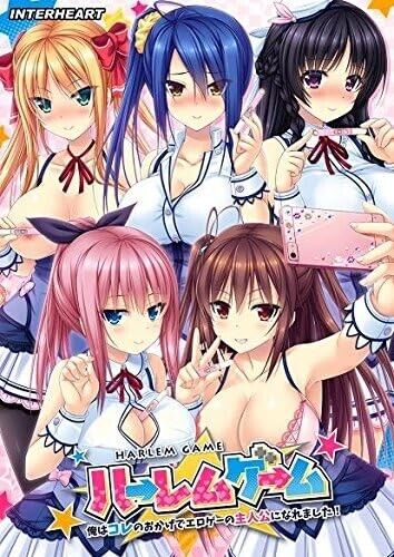 ILLUSION Harlem Game Japanese Windows PC Game Girls School Life Anime Japan Used - Picture 1 of 1