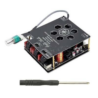 DC 19-51V 10A 1200W High Power Pure Rear Stage Amplifier 600W+600W Dual TPA3255