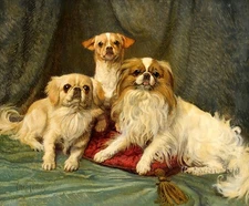 Two Pekingese Giclee art Oil painting HD printed on canvas L3882