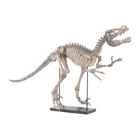World Menagerie Aged Bone Composite Dinosaur Skeleton Statue on sale World Menagerie Aged Bone Composite Dinosaur Skeleton Statue on sale