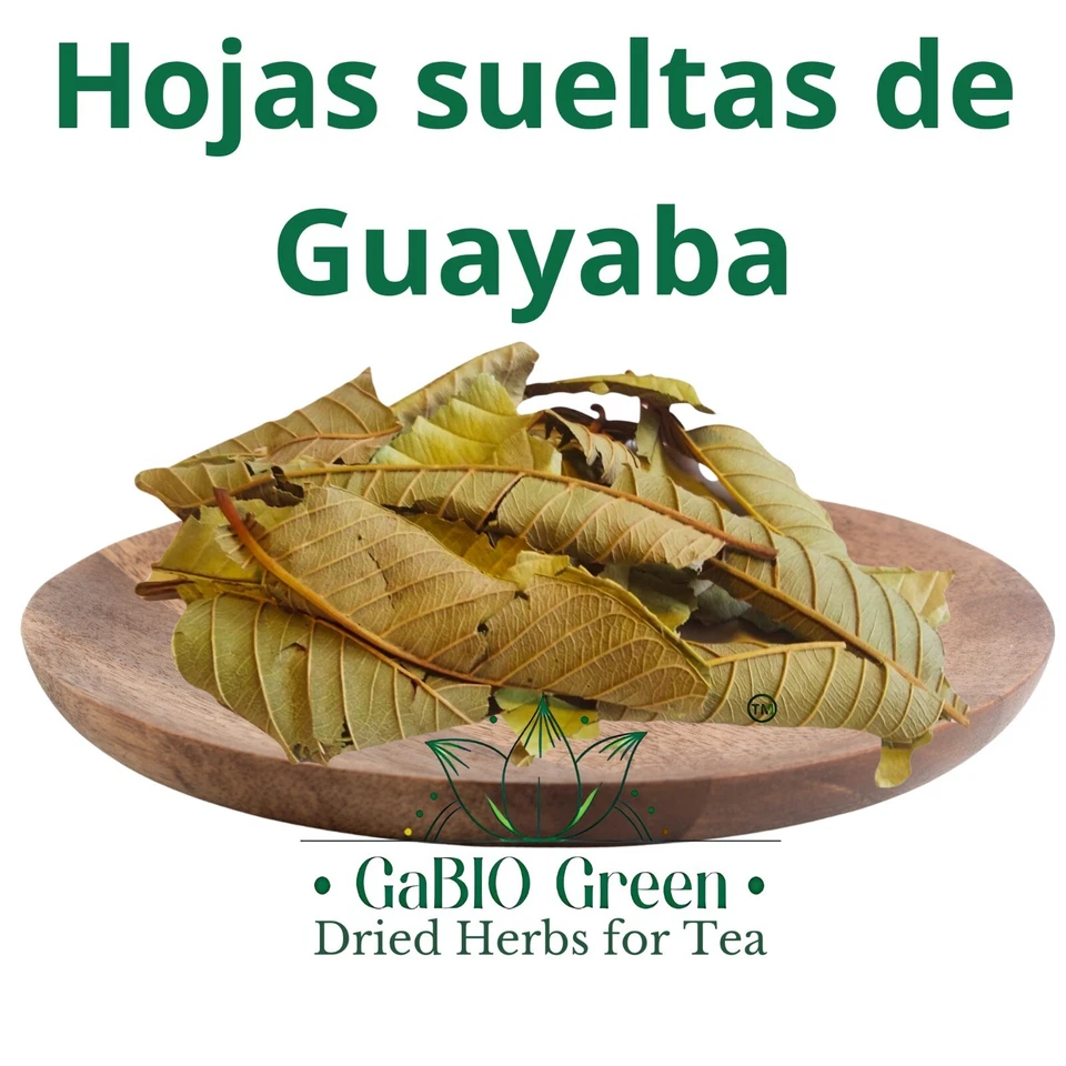 Hojas de Guayaba Enteras Secas Hojas de Guayaba Hojas de Guayaba Natural Té, Gabiogreen Foto 2 de 3
