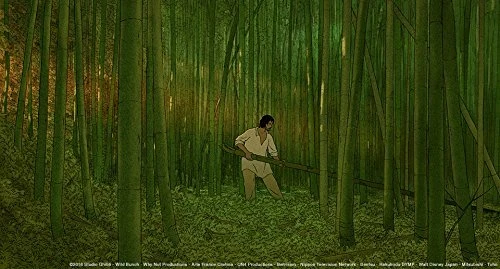 [DVD] The Red Turtle 2 Standard Edition Booklet Included VWDZ-8782 Tall Case NEW - Image 4 of 4