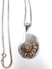 29g Sterling Silver Ammonite Fossil Necklace Pendant 925 Chain