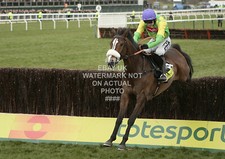 KAUTO STAR RUBY WALSH 2009 GOLD CUP CHELTENHAM FESTIVAL PHOTO HORSE RACING
