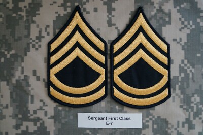 army dress blue rank insignia Soraya Dress – Post Office by Shannon Passero main image 0