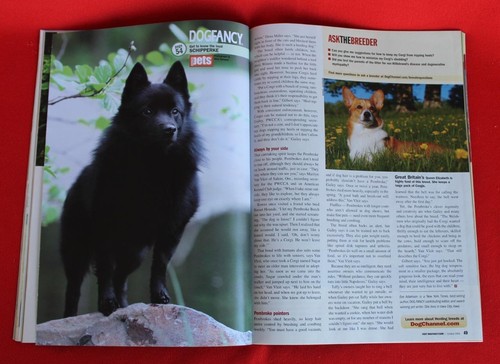 RARE & Collectible ~ SCHIPPERKE Profile ~ DOG FANCY Magazine ~ October 2009