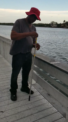 Kit lancia gancio gaff clip rete manico canna da pesca telescopica acciaio inox 20 piedi - Video 1 di 1
