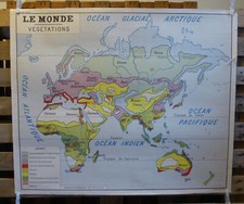 Vintage French School Map from 60s/70s double sided World Vegetation and Plants