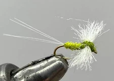 One Dozen (12) - Blue Winged Olive - Spinner