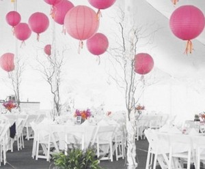 12x Pink Paper Lanterns Engagement Wedding Girls Birthday Party