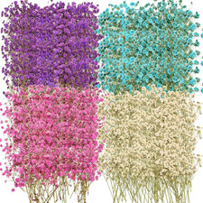 200 Pcs Dried Baby'S Breath Flowers Preserved Baby'S Breath Pressed Gypsophila B