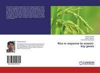 Rice In Response To Arsenic-Key Genes Sandip Debnath