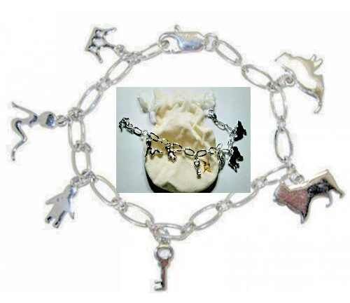 Pamela Anderson Bettelarmband Silber Gol Logo Tasche Hund Katze Schlüssel Krone - Bild 1 von 6