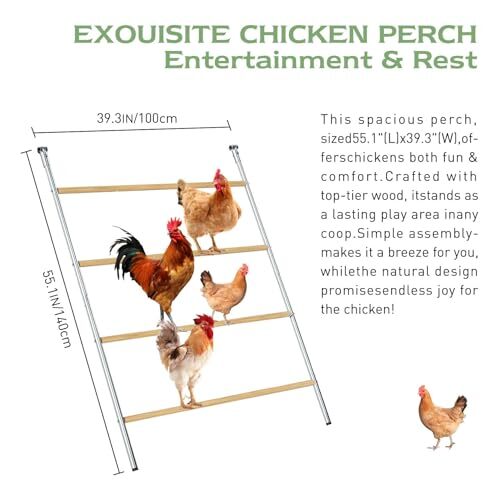 Chicken Coop Roosting Perch Essentials, Chicken Roosting Ladder, 55"L x