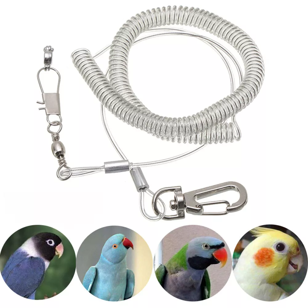 Parrots Leg Rings, 360° Birds Training Leash Rings Durable Stainless Steel  for Medium-Sized Bird(2#) : Amazon.in: Pet Supplies