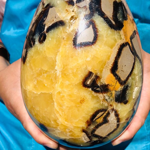 10.62LB Top Natural Dragon Septarian Crystal geode Quartz egg mineral Specimen - Picture 6 of 17