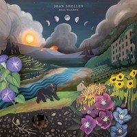 Real Warmth | Joan Shelley | Vinyl / Schallplatte | 2025 | NO Quarter / Cargo