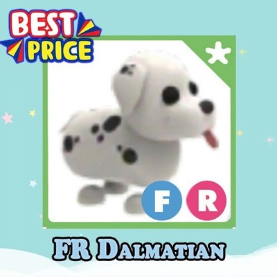 FR Dalmatian - Fly Ride - Adopt right now