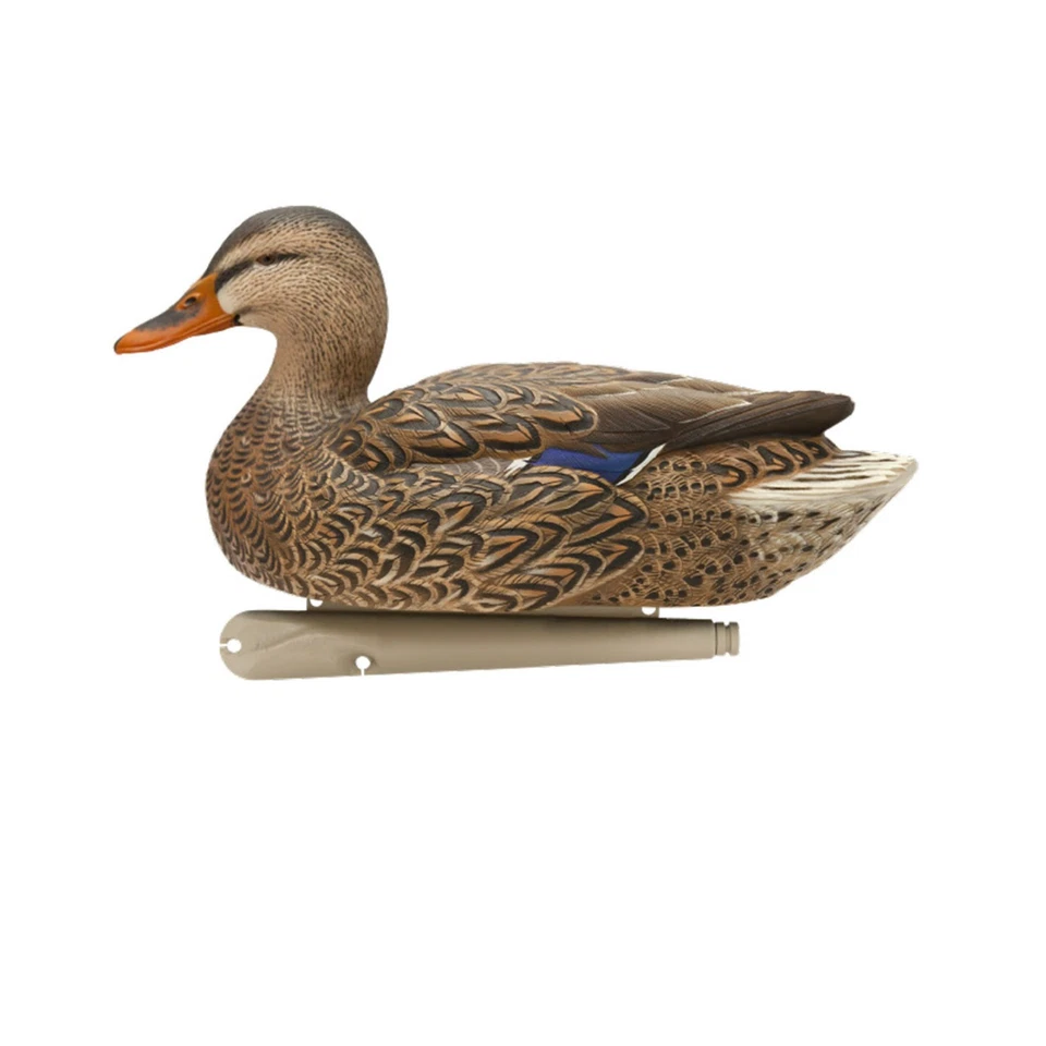 Avian X Topflight Realistic Open Water Mallard Duck Decoys Set of 6 (Multicolor) - Image 4 of 4