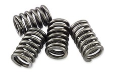 Ebc CSK219 CSK Clutch Spring Kit