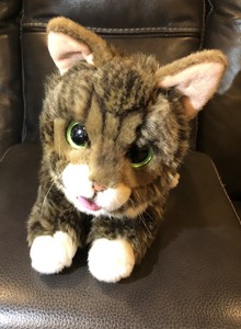 lil bub stuffed animal