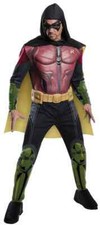 Robin Batman DC Comics Arkham Franchise Fancy Dress Up Halloween Adult Costume