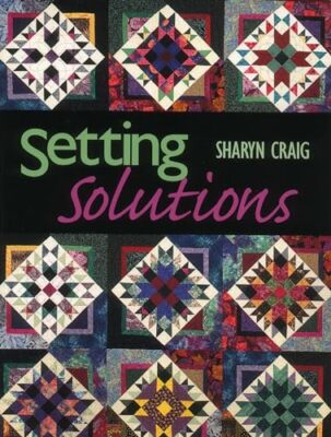 Setting Solutions by Sharyn Craig (Paperback, 2010)