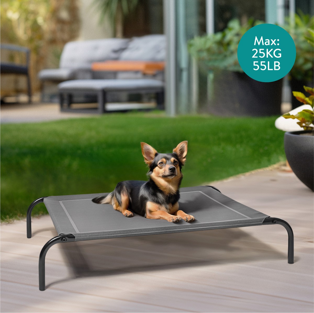 Collare Cane In Pelle Vera Per Taglie Grandi - Largo 5cm, Morbido E Resistente Con Fibbia Metallica - Nero - Foto 11