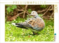 Calvendo Puzzle Turtle Dove - Beautifully Drawn Plumage | 1000 Pieces, Finished