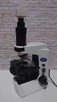 Olympus CX41LF Microscope