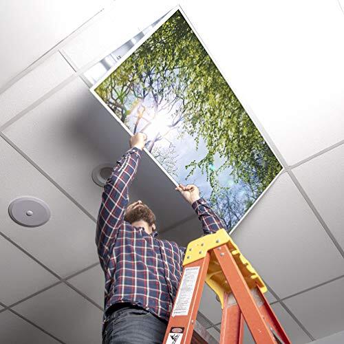 Octo Lights Decorative Fluorescent Light Covers 2x4ft 22.38in x 46