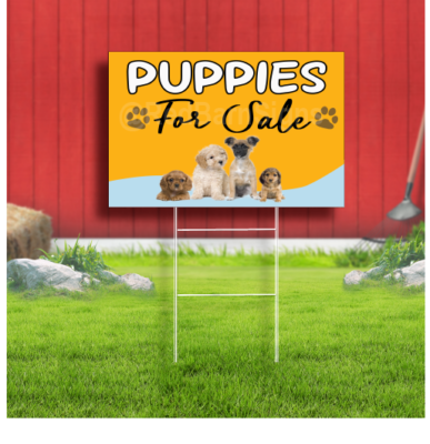 Puppies for Sale Coroplast Sign Plastic Indoor Outdoor Yard Sign