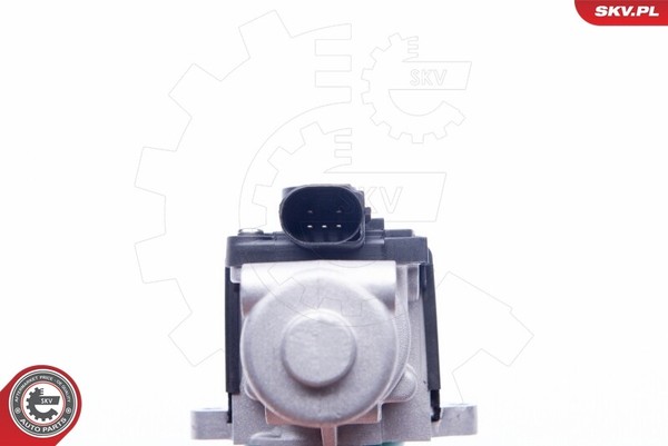 SKV Germany 14SKV164 Agr-Ventil FüR VW Audi-image