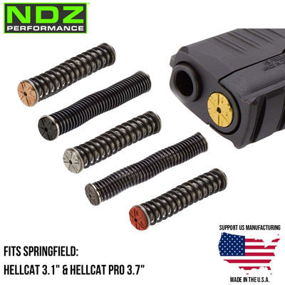 NDZ Springfield 3.1