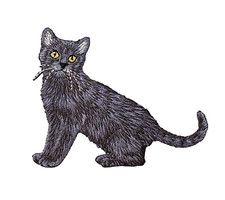 Realistic Black Cat, Pets, Animals, Kitten, Embroidered, Iron on Patch