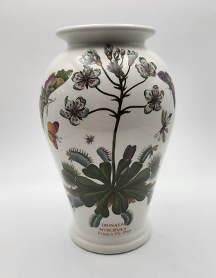 Vase - Portmeirion Botanic Garden - Dionaea Muscipula - Venusfliegenfalle