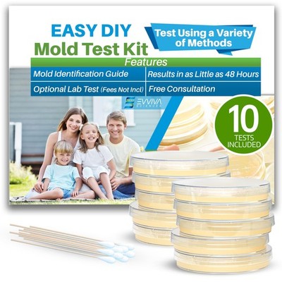Evviva Sciences Mold Test Kit for Home - 10 Easy Detection Tests w/Optional L...