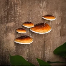 Set of 5 Mushroom Shelf Wall Decor - Adhesive Mini Resin Mushroom Floating Sh...