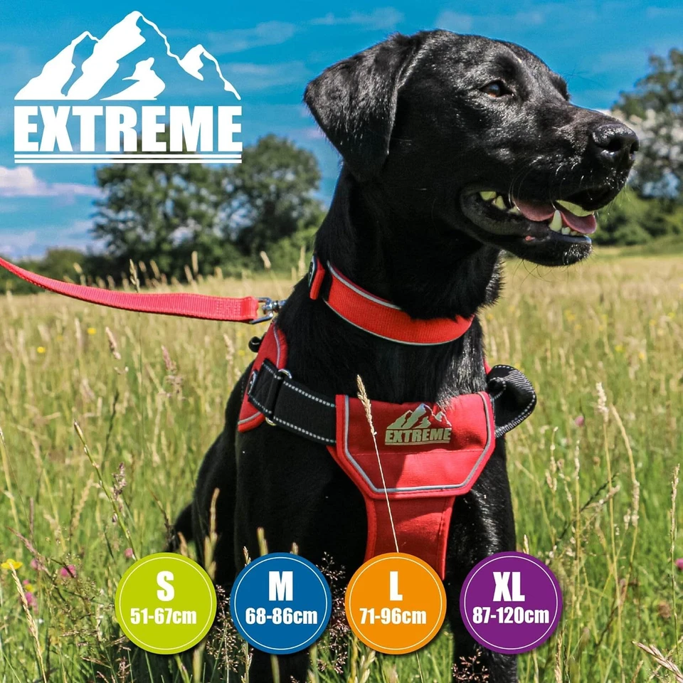 Arnés Extreme para perros - rojo. Ajustable, resistente, acolchado, exterior. 4 tallas. Foto 3 de 4