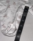 Foto 11 di 12