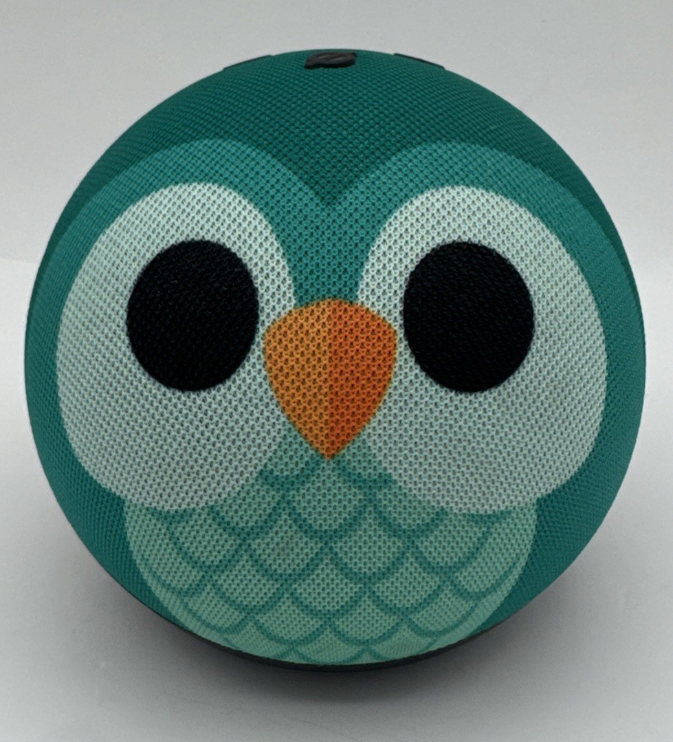 Amazon Echo Dot 5th Gen C2N6L4 Kids Age 3+ Green Owl (No Power