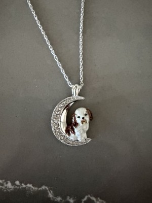 The Bradford Exchange: Hand Enameled I love My dog to The Moon And Back Necklace