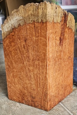 Amboyna (Pterocarpus indicus) Burl Section 8-10 1/2'' x 6'' x 6''