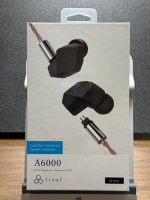 Final A6000 Dynamic geschlossener In-Ear-Kopfhörer NEU aus JAPAN