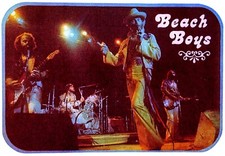 Original Vintage The Beach Boys in Concert Iron On Transfer