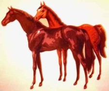 horse stallion heat transfer iron on not embroidered 4 inch 1pc