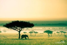 Landscape africa kenya savannah elephant nature Custom Gaming Mat Desk