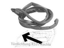 T&uuml;rdichtung rechts Mercedes R107 C107 1077200278 1077201678