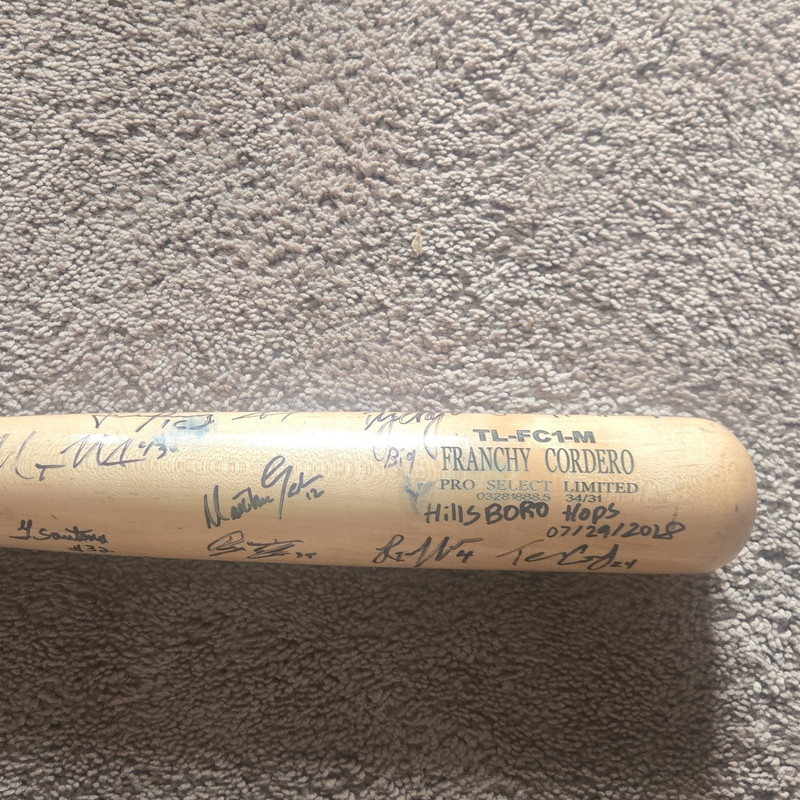 Signed Original Baseball Bat - Multiple Autographs (Not Authenticated)